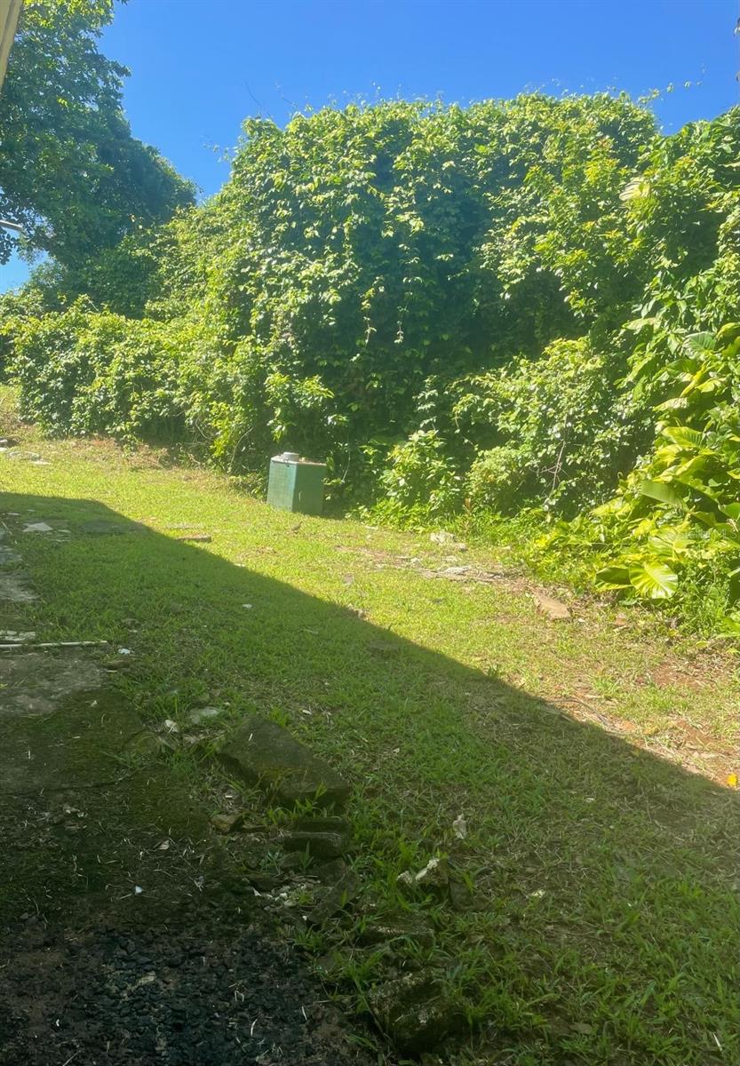 CAIMITO ALTO - Residential