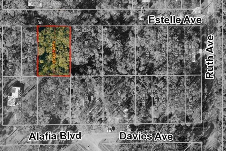 Build your dream home or invest in future possibilities with this exceptional parcel of unimproved land in the sought-after community of Alafia Estates. Nestled in a peaceful, country-style setting yet conveniently located near shopping, dining, and major roadways, this lot offers the perfect blend of seclusion and accessibility. Surrounded by custom homes on spacious lots, you'll enjoy the freedom of no HOA and plenty of room for your vision—whether that's a private estate, workshop, garden, or recreational space. With nature as your backdrop and endless potential at your fingertips, this is a rare find you don’t want to miss!