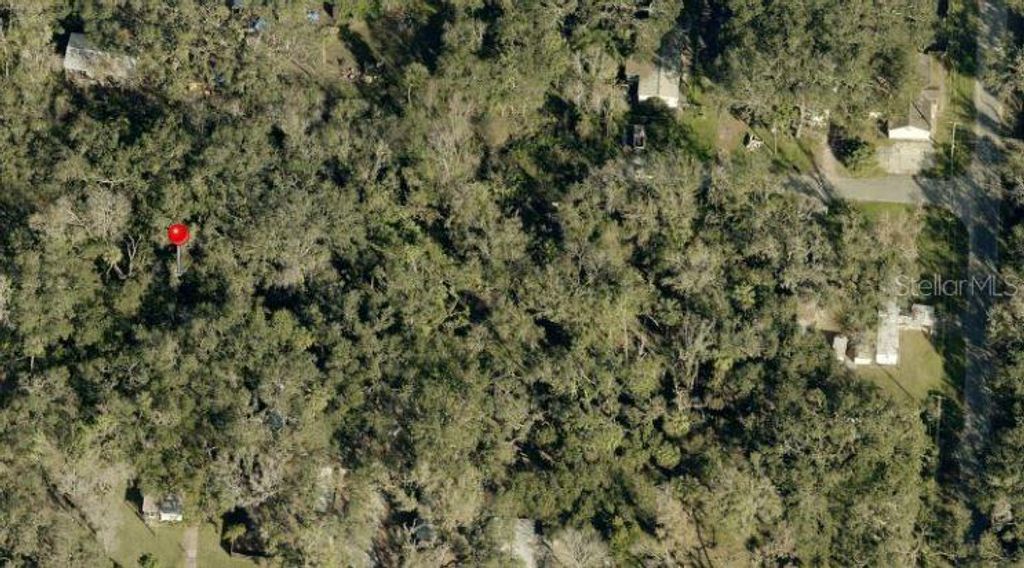 Photo of 931 Estelle Avenue, Brandon, FL 33511 (MLS # TB8405881)