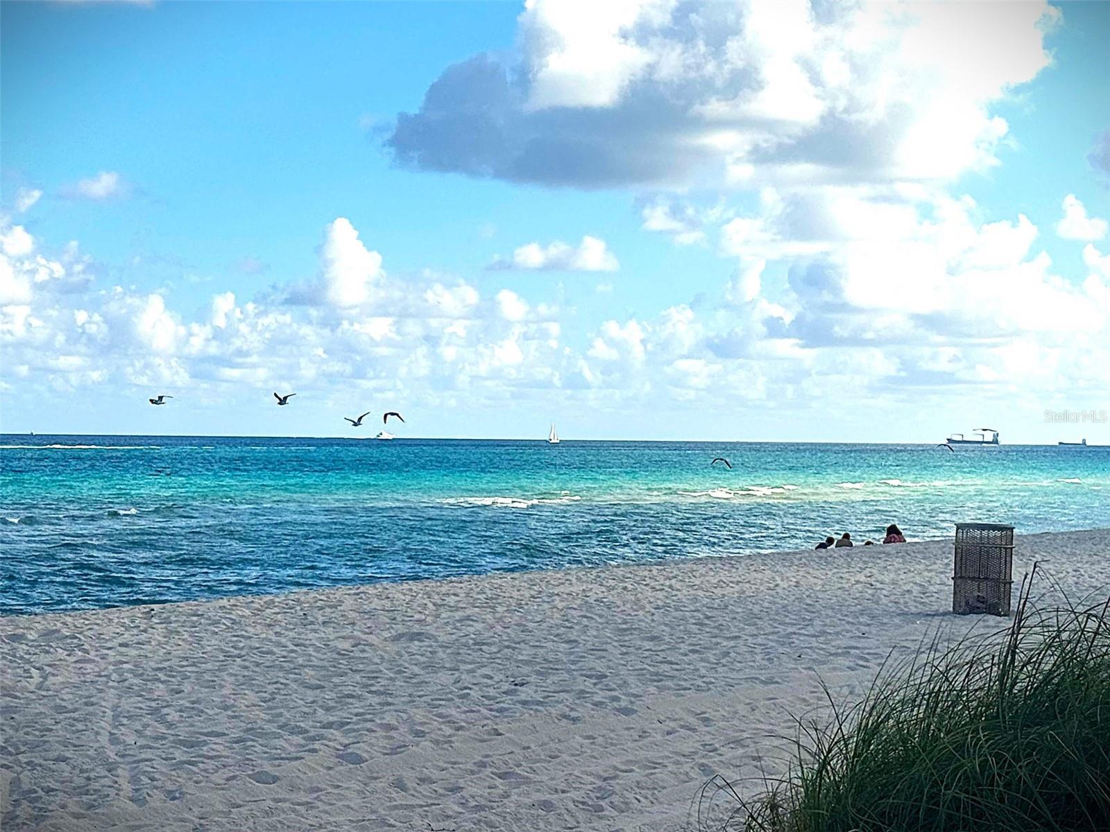 EDEN HOUSE - Residential