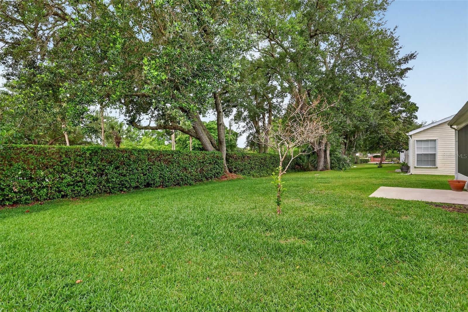 PLANTATION AT LEESBURG GREENTREE - Residential