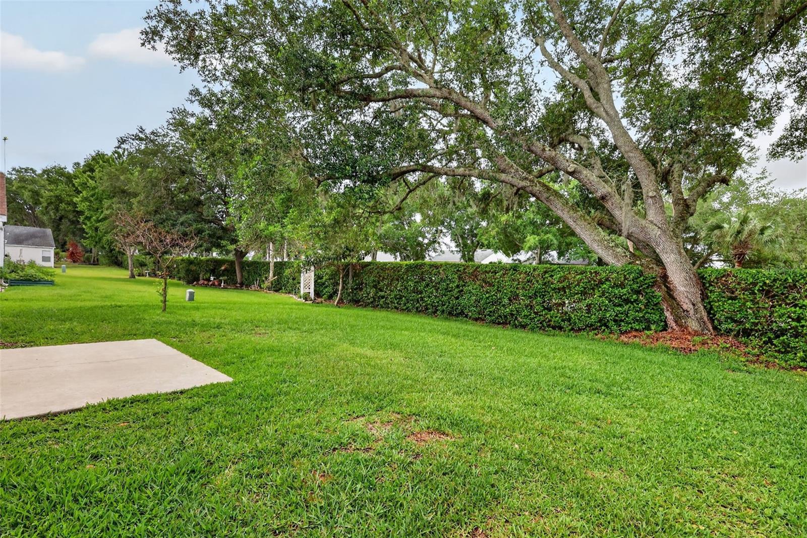 PLANTATION AT LEESBURG GREENTREE - Residential