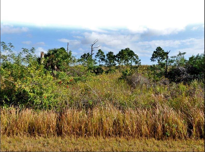 PORT CHARLOTTE SUB 45 - Land