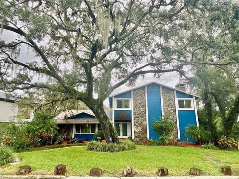 A home in TEMPLE TERRACE