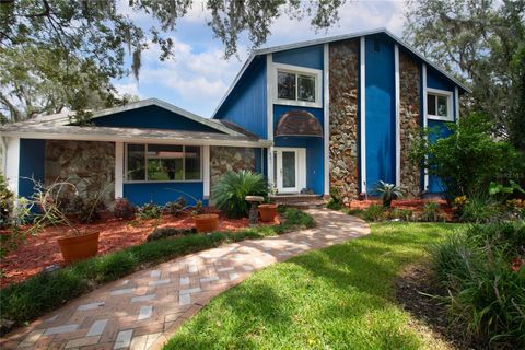 A home in TEMPLE TERRACE