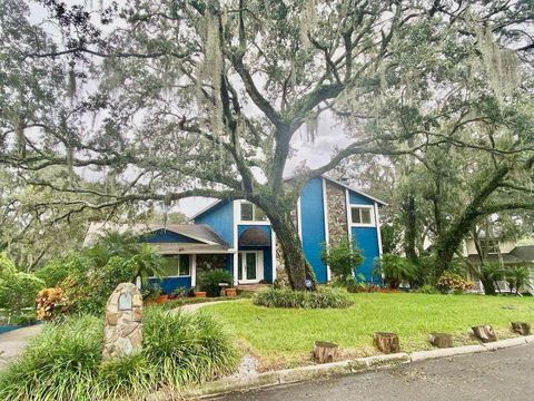 A home in TEMPLE TERRACE