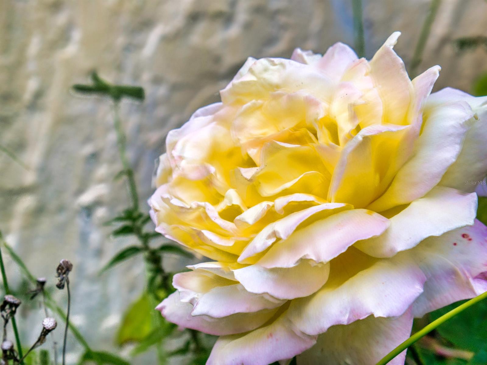 Pelican Cove West Ph 01 - Residential