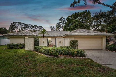 A home in PALM HARBOR