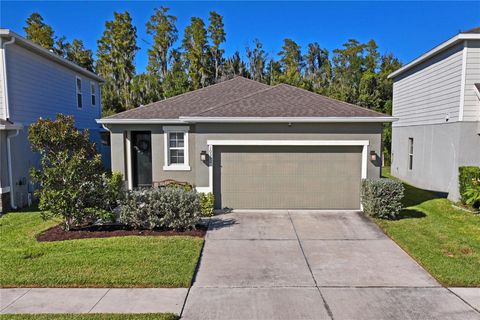 Photo of 10582 Hawks Landing Drive, Land O Lakes, FL 34638 (MLS # TB8445239)