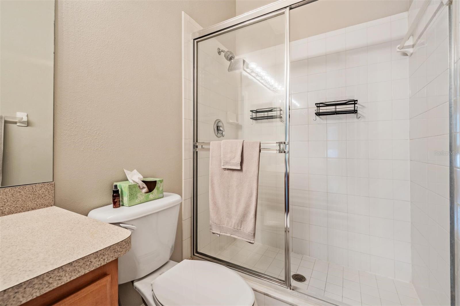 CHELSEA MANOR - Residential