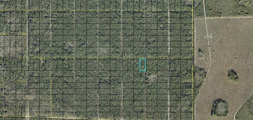 Photo of Xxx Donna Street, Hastings, FL 32145 (MLS # FC321786)