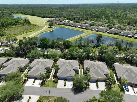 A home in SUN CITY CENTER