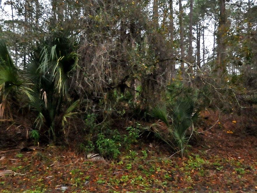 Excellent opportunity to own vacant land in North Port, one of Southwest Florida’s fastest-growing areas. Close to schools, shopping, dining, and main roadways, with no HOA or deed restrictions. A great addition to any portfolio.