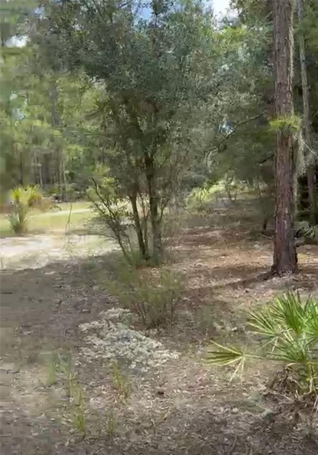 Photo of Orchid Drive, Indian Lake Estates, FL 33855 (MLS # O6350101)
