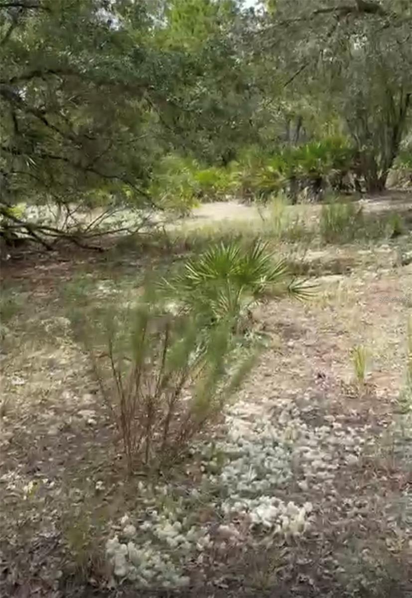 INDIAN LAKE ESTATES - Land