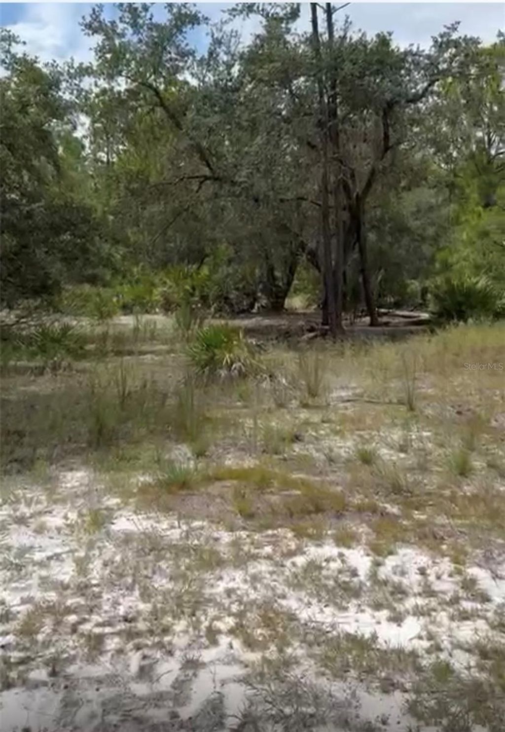 Photo of Orchid Drive, Indian Lake Estates, FL 33855 (MLS # O6350101)