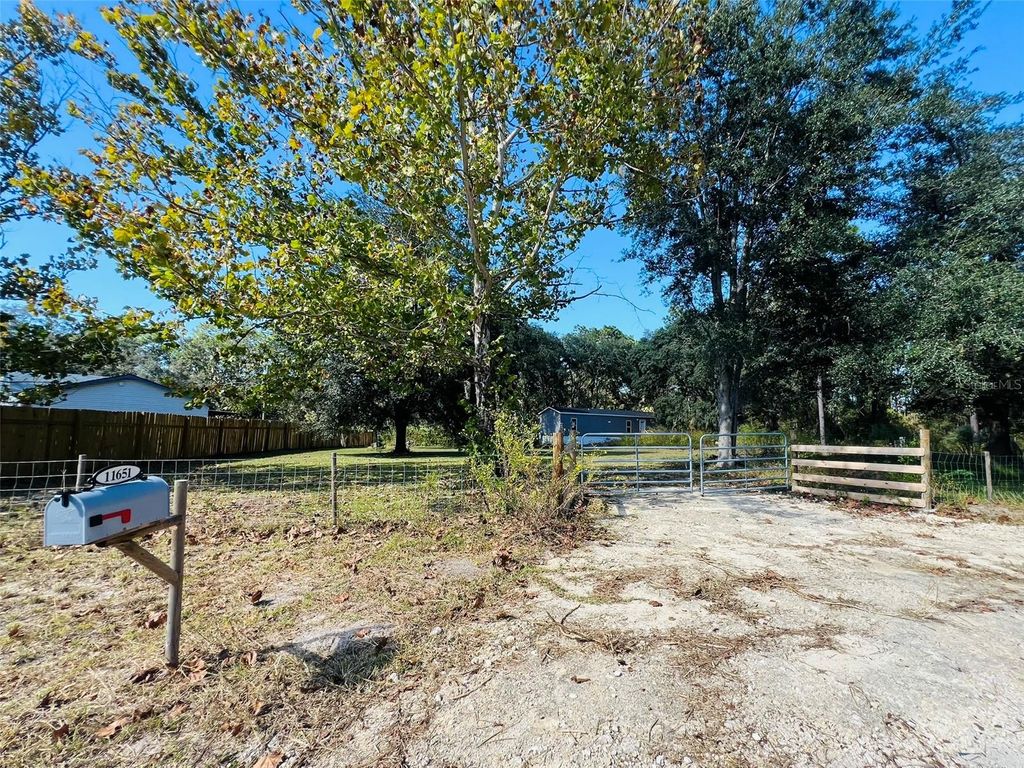 Photo of 11651 SE 82nd Street, Morriston, FL 32668 (MLS # O6355518)