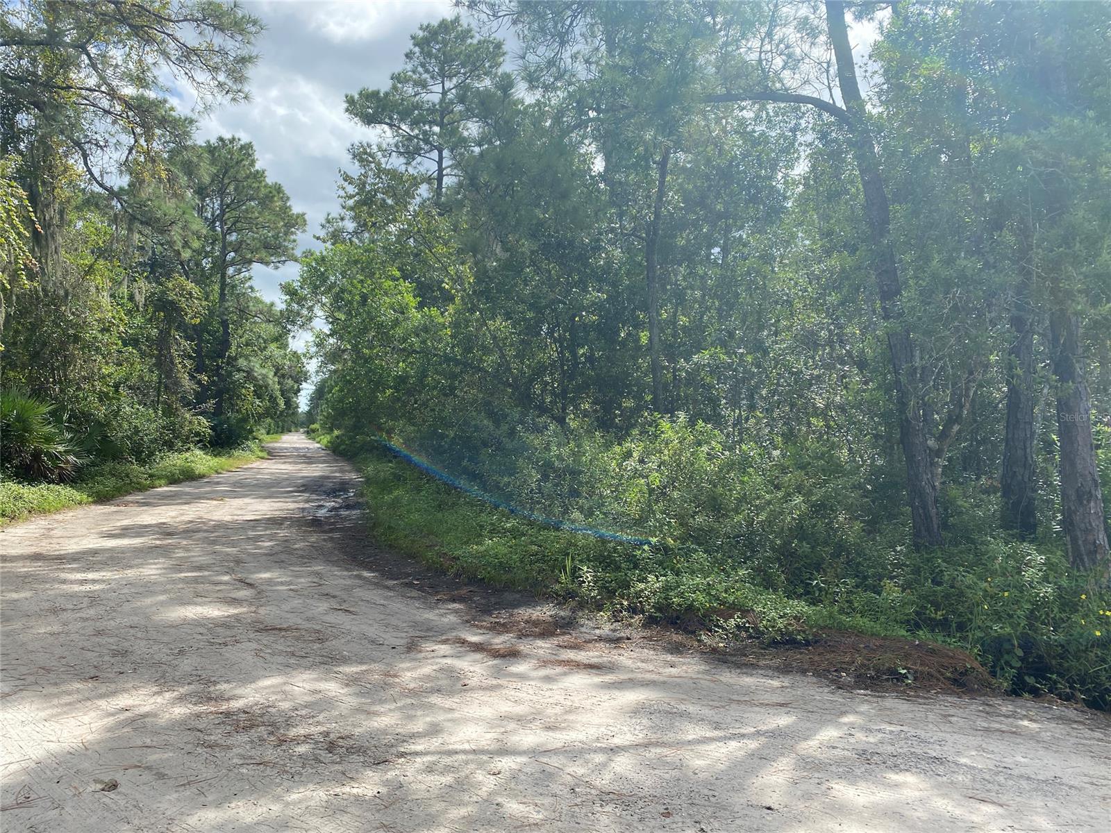 Howe & Curriers Allotment - Land