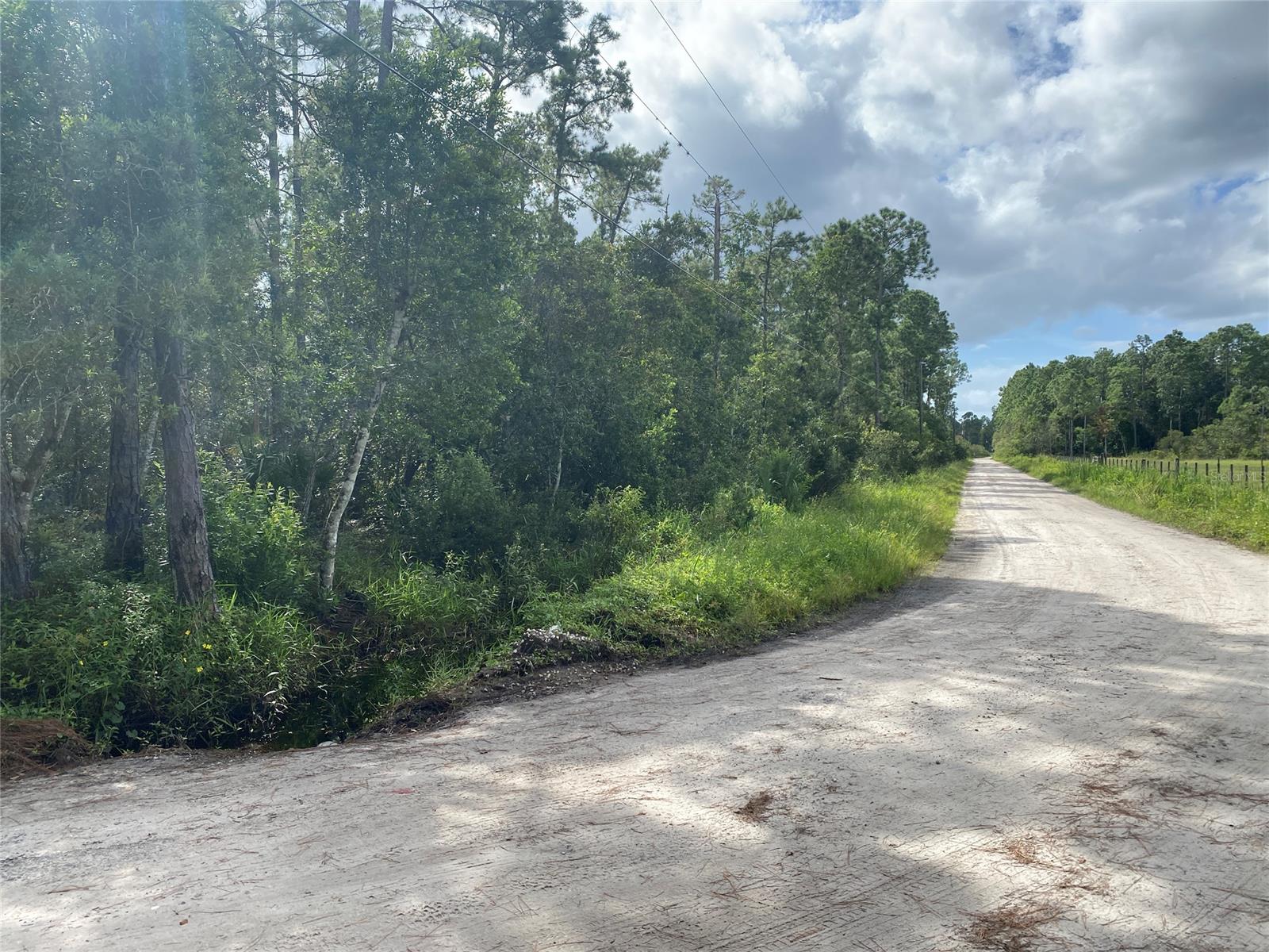 Howe & Curriers Allotment - Land