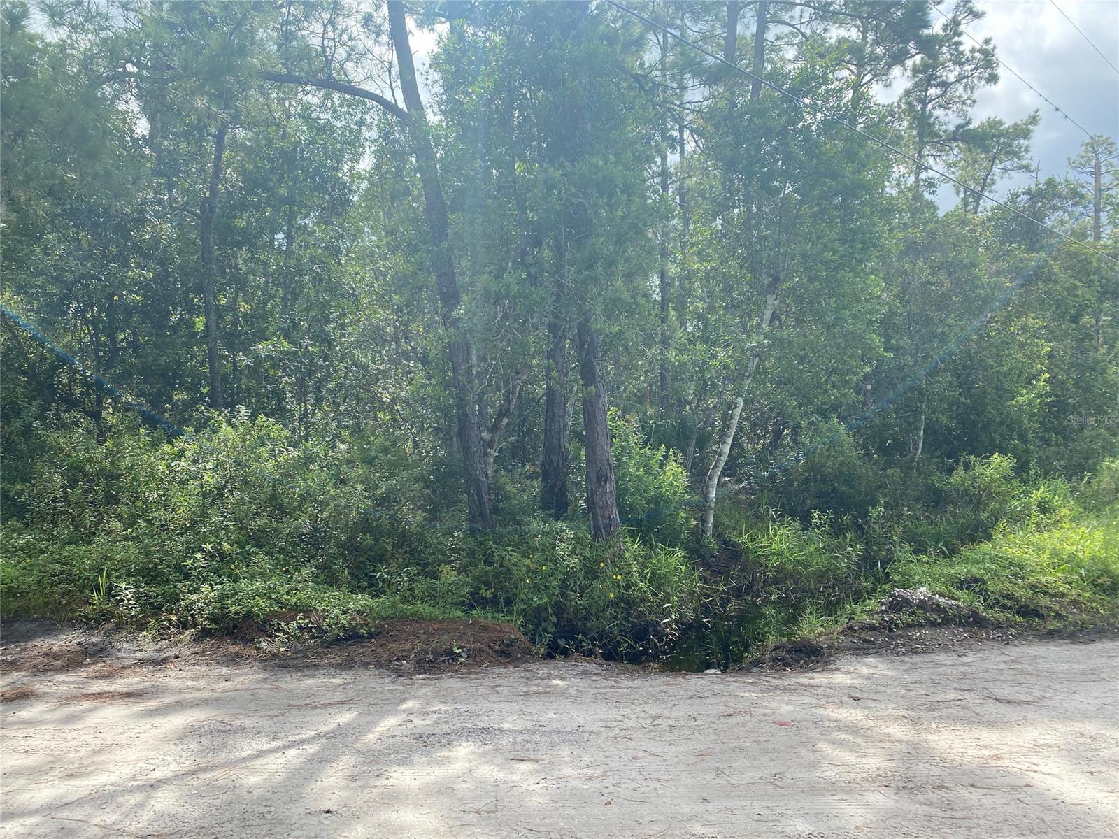 Howe & Curriers Allotment - Land