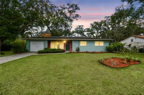 1411 W MEADOWBROOK AVENUE TAMPA FL 33612