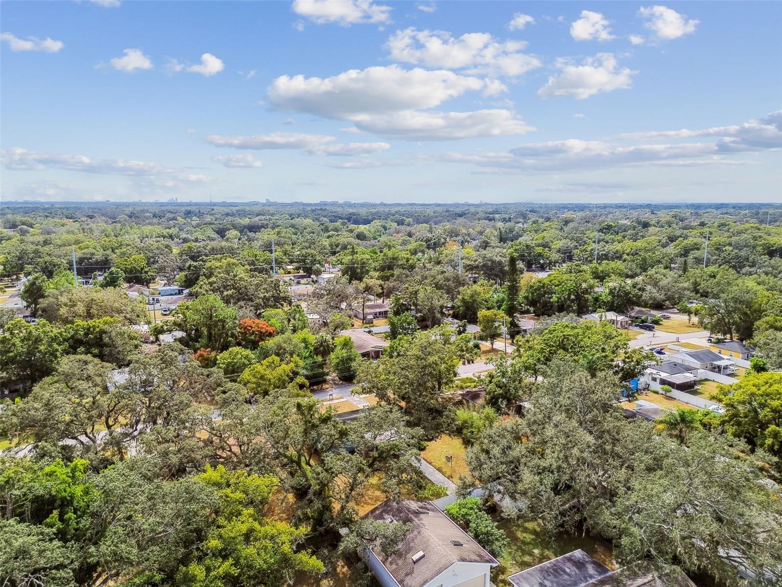 GOLFLAND OF TAMPAS NORTH SIDE - Residential