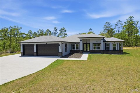 Photo of 5499 N Mallows Circle, Beverly Hills, FL 34465 (MLS # TB8500965)