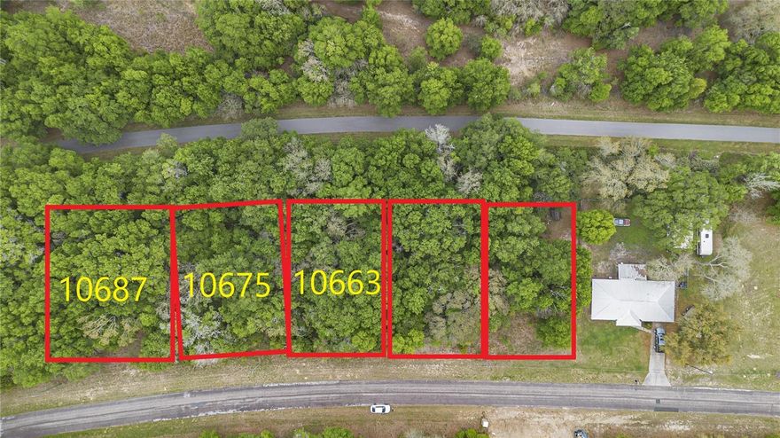 Welcome to your opportunity to own a prime piece of land in the flourishing community of Citrus Springs! Situated in a fast-growing area, this buildable lot offers convenience and potential in abundance. Located in close proximity to schools, shopping centers, and medical facilities, this property ensures that all your essential needs are within reach. Plus, its adjacency to two other parcels presents an enticing possibility for expansion or investment, with a combined total of .69 acres available if desired. Embrace the leisurely lifestyle just fifteen minutes away from Crystal River, where you can indulge in the unique experience of swimming with majestic manatees. Whether you're looking to build your dream home or capitalize on the burgeoning real estate market, this lot provides an exceptional opportunity to immerse yourself in the charm of Citrus
Springs. Don't miss out – seize this chance to make your mark in this vibrant community!