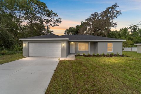 Photo of 78 Malauka Radial, Ocklawaha, FL 32179 (MLS # O6361471)