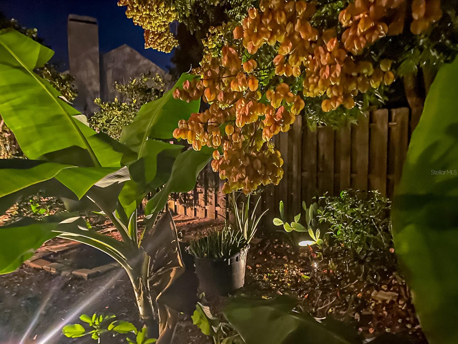 HIGHLANDS OF LAKE MARY - Residential