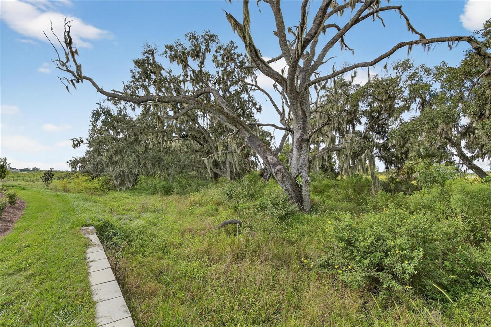 VARREA PH 2B - Residential Lease