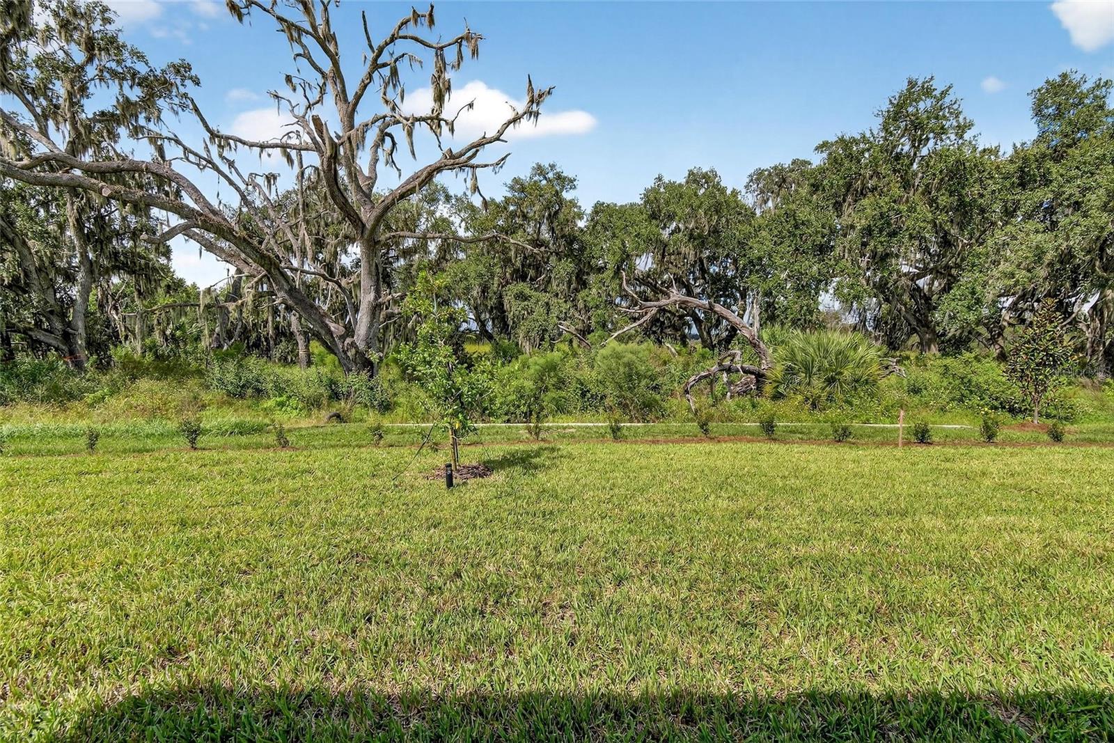 VARREA PH 2B - Residential Lease