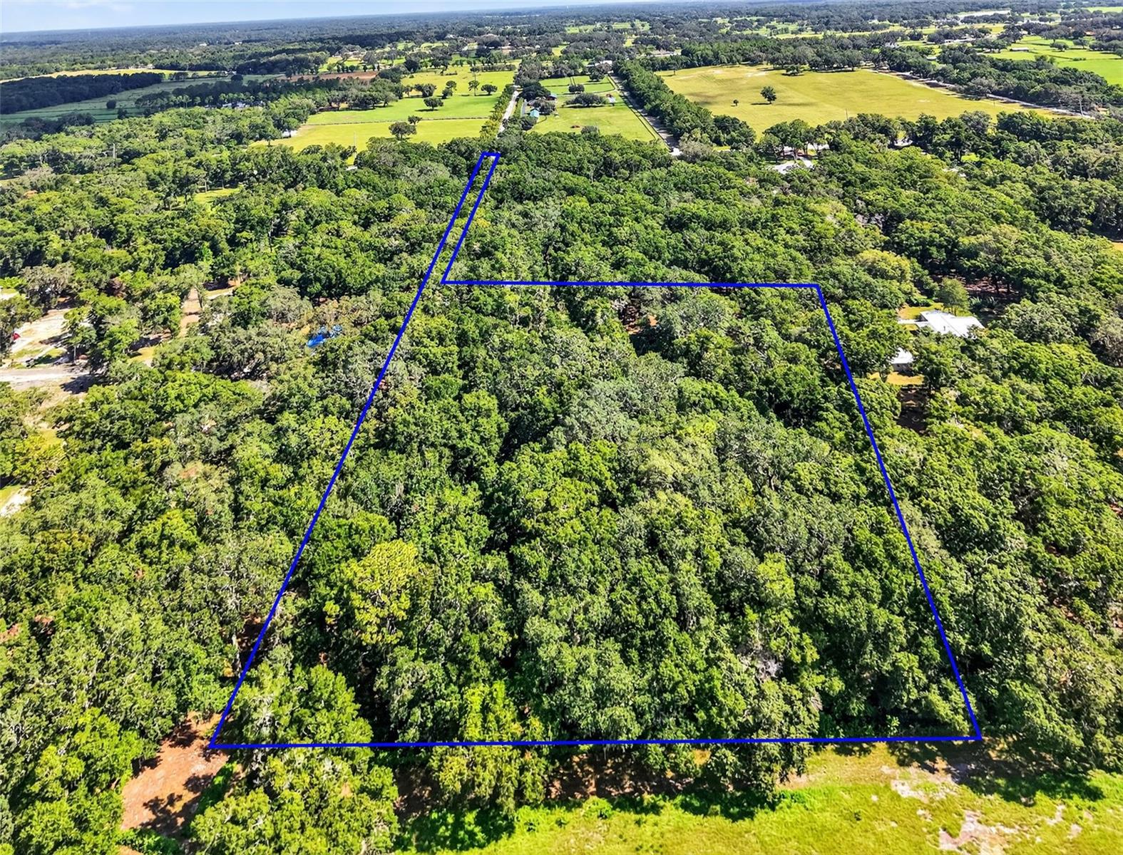 INVESTORS/HANDYMEN this one is for you!! PLEASE DO NOT ACCESS THE LOT or PROPERTY WITHOUT A REALTOR Present!!!
2000 sq ft home full of rustic charm, built in 1999 on almost 5 wooded acres!! No HOA, No BOND - plenty of PRIVACY (sets approximately 2/10 mile off the Hwy!) Lots of opportunity to make this home beautiful again!! Lovely wood paneling and wood floors throughout, although in need of some TLC. 3 Bedrooms including a large primary suite with tub & shower. 2 1/2 baths, over sized (572 sq ft) attached garage with stairs to the attic and a separate carport. Large back porch/wood deck, and nice inviting front porch for relaxing mornings and evenings. Inside you'll see lots of space which includes a large eat-in kitchen, separate dining room, HUGE family room with fireplace and NEWER French doors to the back porch. The split floor plan offers 2 bedrooms on the opposite side of the house from the primary suite! Roof replaced in 2019, HVAC new in 2016. Please note - some pipes broke underneath the home and were replaced with CVPVC pipes. However, floor damage did occur in the family room and primary suite bathroom so PLEASE USE CAUTION!!! Plumbing at the well was recently updated. NOTE - Be cautious of the wildlife and woods!! LONG PANTS AND CLOSED TOE SHOES SHOULD BE WORN!!