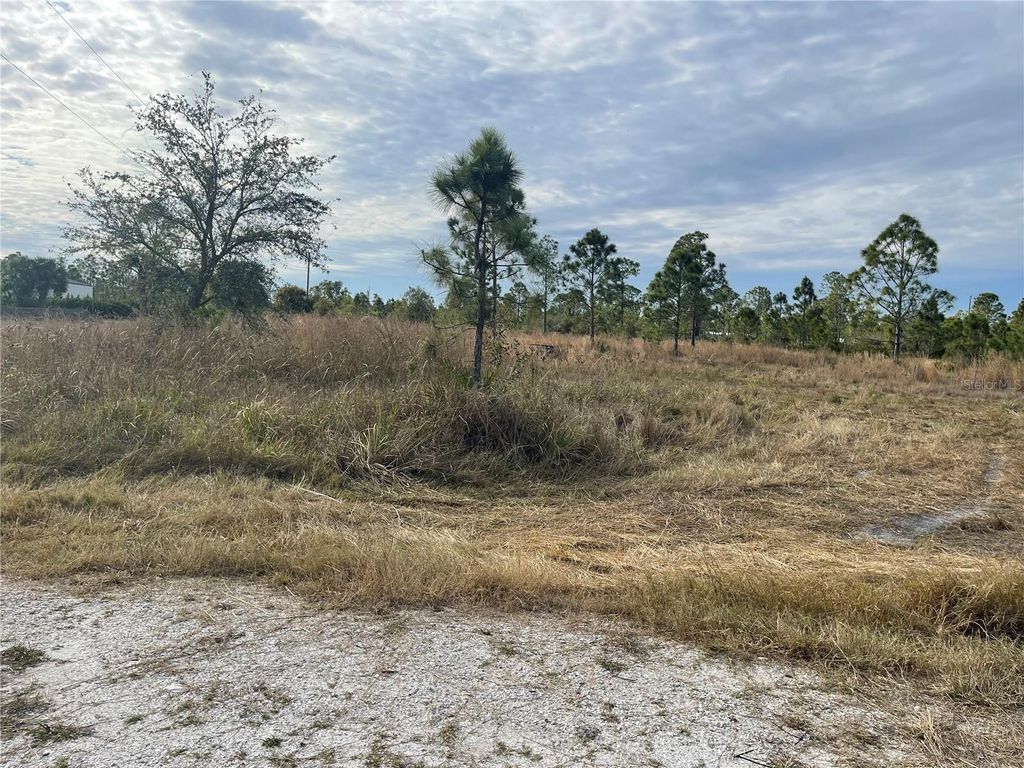 Photo of 29290 Clara Drive, Punta Gorda, FL 33982 (MLS # OM692802)