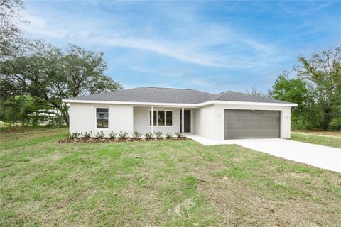 Photo of 445 Malauka Loop, Ocklawaha, FL 32179 (MLS # GC532493)