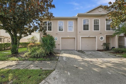 9951 ASHBURN LAKE DRIVE TAMPA FL 33610