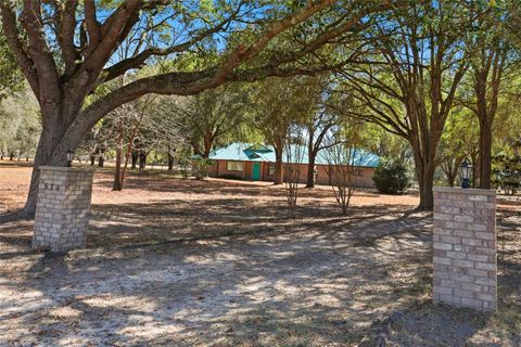 Photo of 534 SW Thorne Lane, Fort White, FL 32038 (MLS # GC537714)