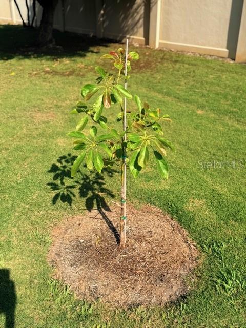 WEST PALM - Residential