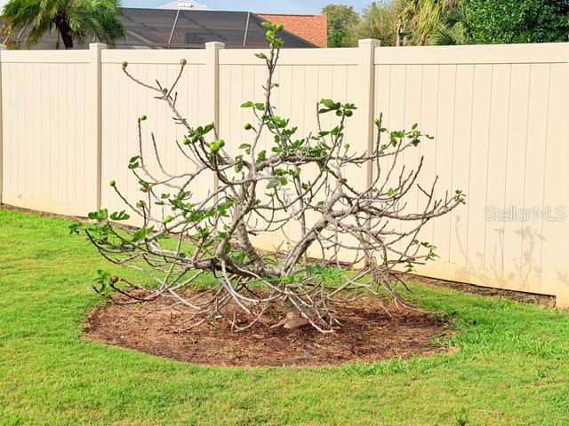 WEST PALM - Residential