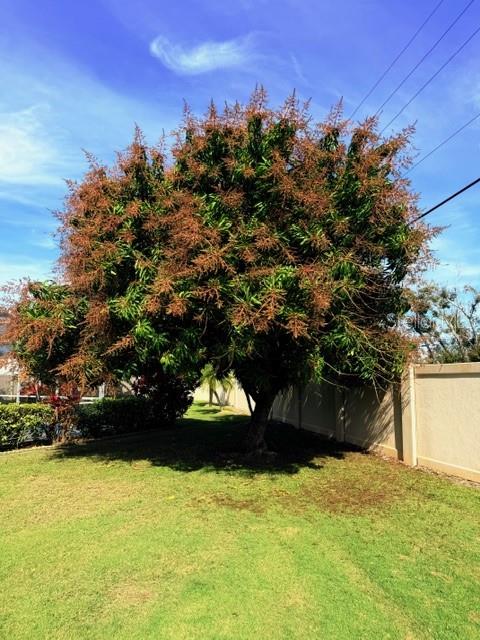 WEST PALM - Residential