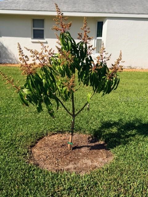 WEST PALM - Residential