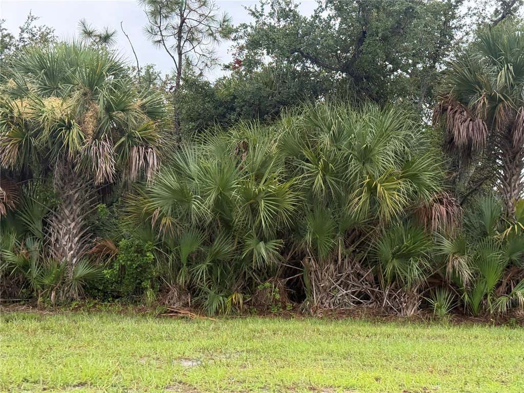 Photo of 13241 Appleton Boulevard, Port Charlotte, FL 33981 (MLS # W7888528)