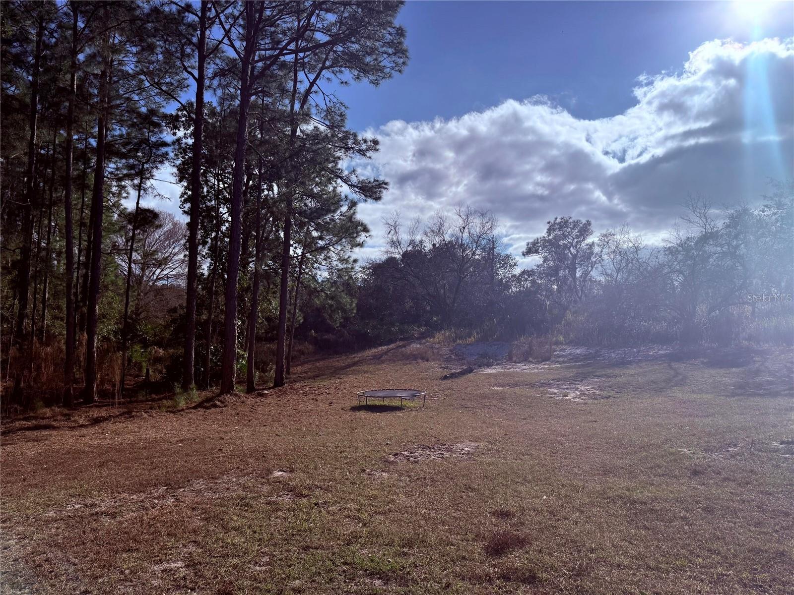 BLUE JORDAN FOREST - Residential