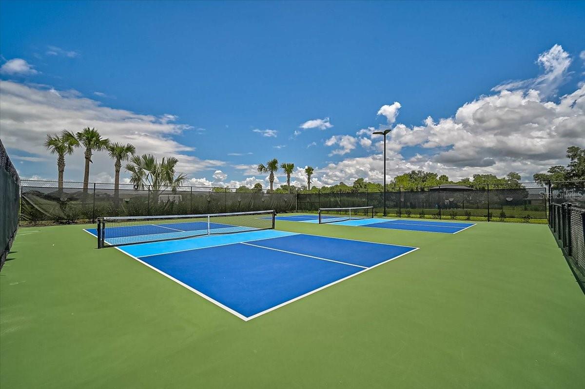 SKYE RANCH NBRHD FOUR SOUTH - Residential Lease