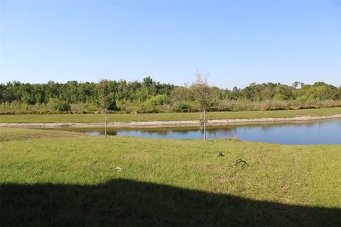 A home in EAGLE LAKE