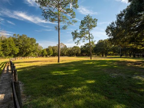 Tiny photo for 4951 SE 216th Avenue, Morriston, FL 32668 (MLS # OM714562)