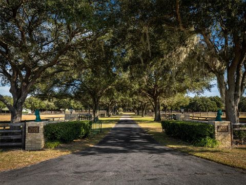 Tiny photo for 4951 SE 216th Avenue, Morriston, FL 32668 (MLS # OM714562)