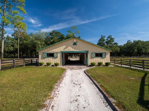 Tiny photo for 4951 SE 216th Avenue, Morriston, FL 32668 (MLS # OM714562)