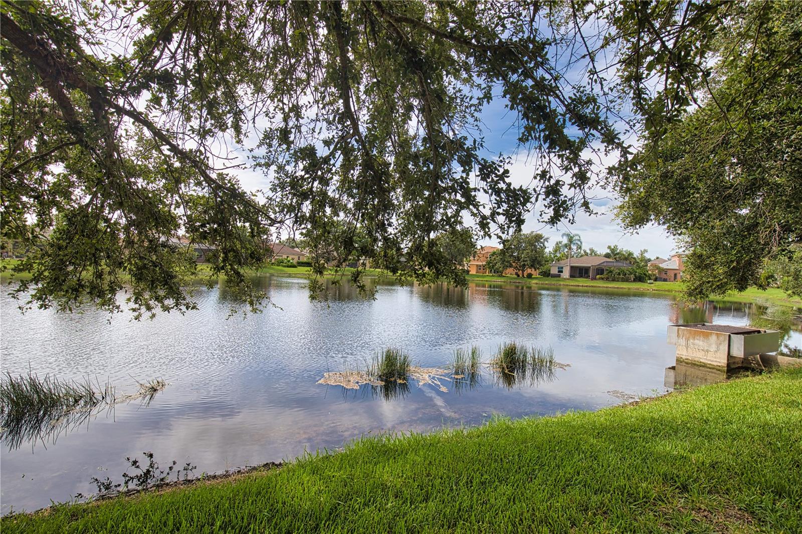 VENTURA VILLAGE - Residential