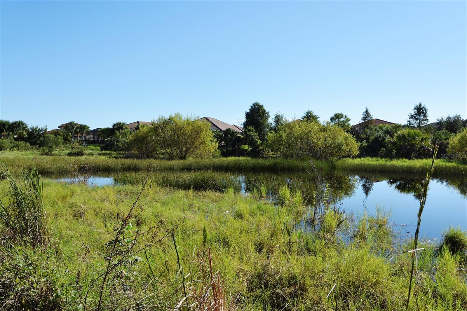 WILLOW CHASE - Residential